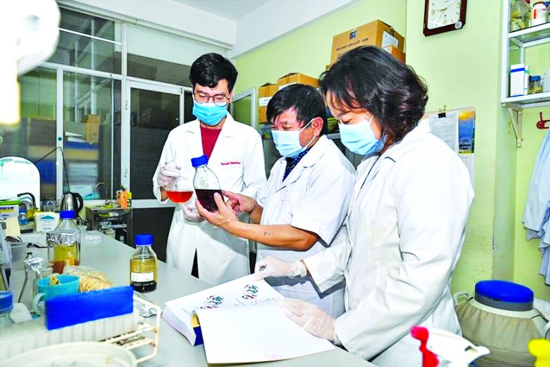 PGS.TS Lê Quang Huấn (giữa) cùng các cộng sự nghiên cứu thuốc Vipdervir. PGS.TS Lê Quang Huấn (giữa) cùng các cộng sự nghiên cứu thuốc Vipdervir.