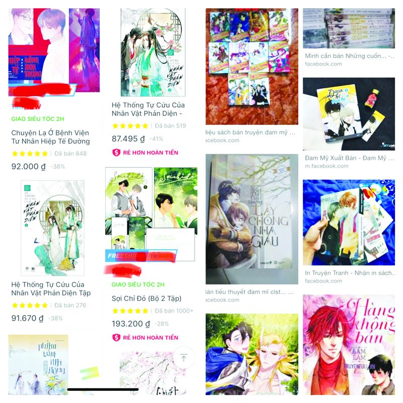 Những cuốn truyện đam mỹ được in ấn, bán tràn lan trên mạng