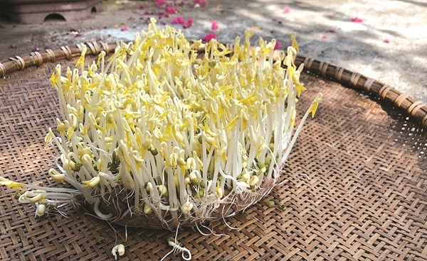 Tự làm giá đỗ - rau xanhbổ dưỡng và dễ làmcủa mùa dịch