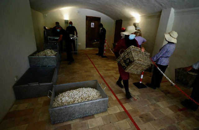 Nước hoa "Chanel Nº5" tròn 100 tuổi: Cách sản xuất loại nước hoa nổi tiếng nhất thế giới - ảnh 5