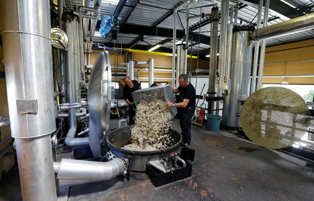 Công nhân chuẩn bị hoa nhài để chiết xuất mùi hương được sử dụng để tạo ra nước hoa  Công nhân chuẩn bị hoa nhài để chiết xuất mùi hương được sử dụng để tạo ra nước hoa