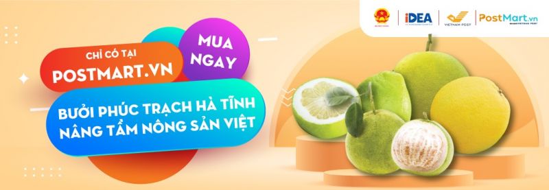 Bưởi Phúc Trạch lên sàn thương mại điện tử Bưởi Phúc Trạch lên sàn thương mại điện tử