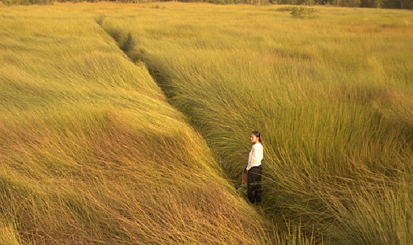 Phim “Cánh đồng bất tận” với những cảnh đẹp như tranh vẽ thu hút du lịch đến với miền Tây