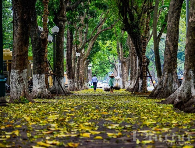 Mùa thu Hà Nội đẹp đến nao lòng. Mùa thu Hà Nội đẹp đến nao lòng.