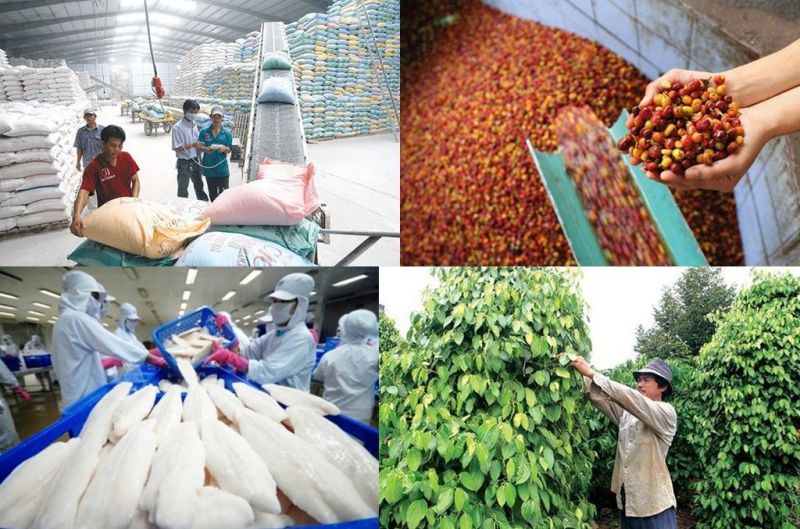 Các bộ, cơ quan liên quan hướng dẫn, hỗ trợ các địa phương, doanh nghiệp nhanh chóng khôi phục chuỗi cung ứng xuất khẩu nông, lâm, thủy sản. Các bộ, cơ quan liên quan hướng dẫn, hỗ trợ các địa phương, doanh nghiệp nhanh chóng khôi phục chuỗi cung ứng xuất khẩu nông, lâm, thủy sản.