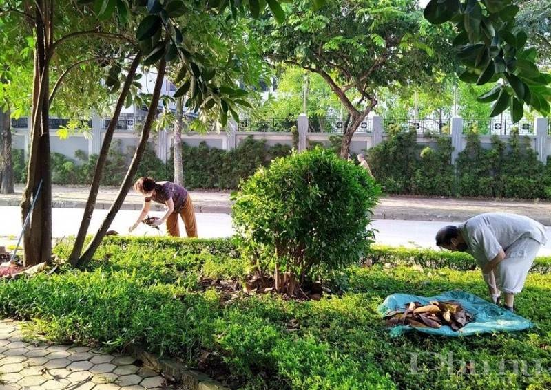 Phụ nữ Hoàng Mai ra quân vệ sinh môi trường phòng dịch sốt xuất huyết - ảnh 6
