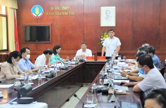 Quang cảnh hội nghị