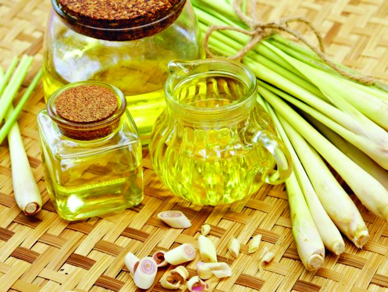 Lưu ý khi xông tinh dầu để phòng, chống dịch Covid-19 - ảnh 1