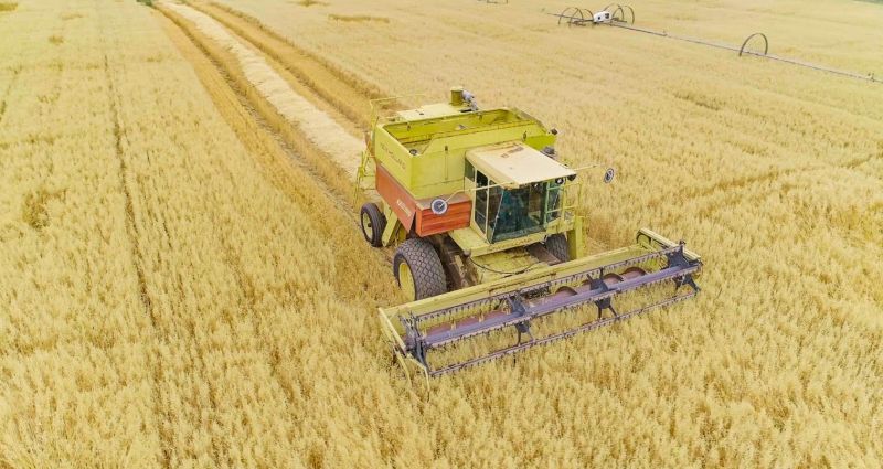 Dòng sản phẩm Nutrilite Protein đạt danh hiệu bán chạy số 1 thế giới - ảnh 2