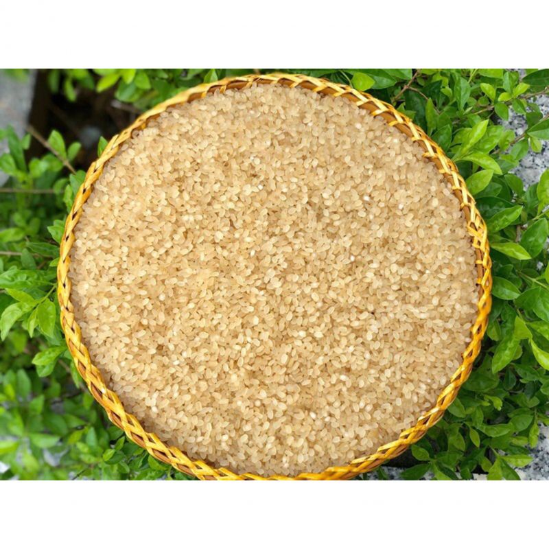 Đặc sản từ “hạt gạo trời” của vùng núi Tây Bắc - ảnh 1