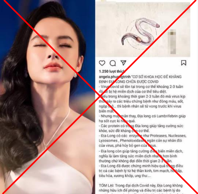 Angela Phương Trinh chia sẻ thông tin chữa Covid-19 bằng giun đất sai sự thật.