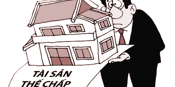 Minh họa sưu tầm