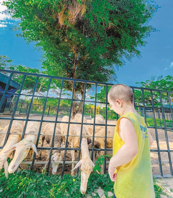 Cuối tuần “đổi gió” ở ngoại thành - ảnh 2