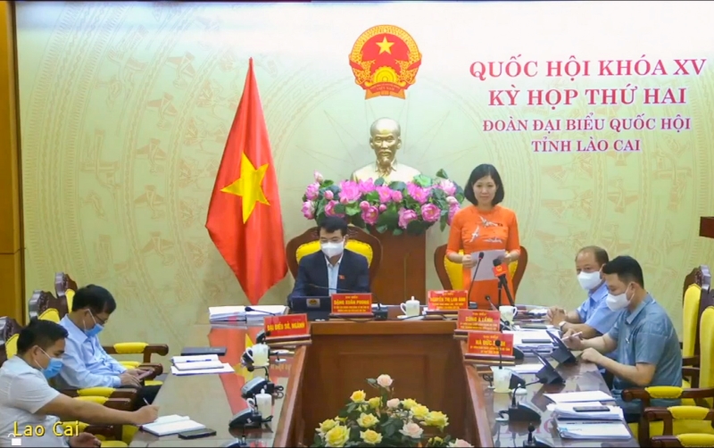 Đại biểu Nguyễn Lan ANh nêu ý kiến về dự án Luật sửa đổi, bổ sung một số điều của Luật Sở hữu trí tuệ.