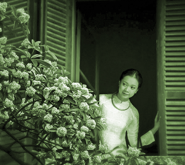 Ảnh minh họa Ảnh minh họa