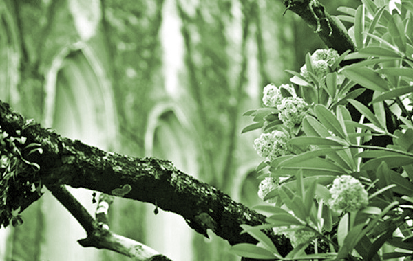 Ảnh minh họa Ảnh minh họa