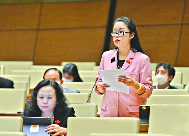 Đại biểu Dương Minh Ánh - Đoàn ĐBQH Thành phố Hà Nội, thảo luận tại hội trườngDiên Hồng