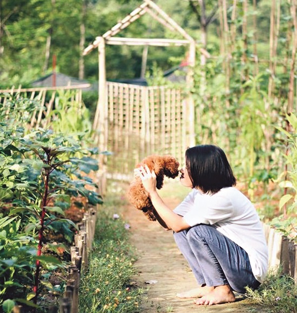 Ảnh minh họa Ảnh minh họa
