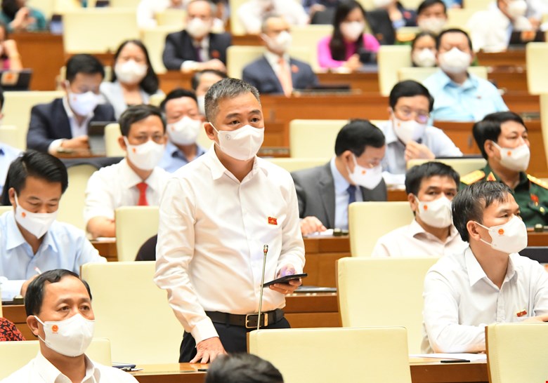 Đại biểu Nguyễn Lân Hiếu - Đại biểu Nguyễn Lân Hiếu -