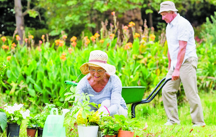 Con trưởng thành, cha mẹ về quê dưỡng già - ảnh 1
