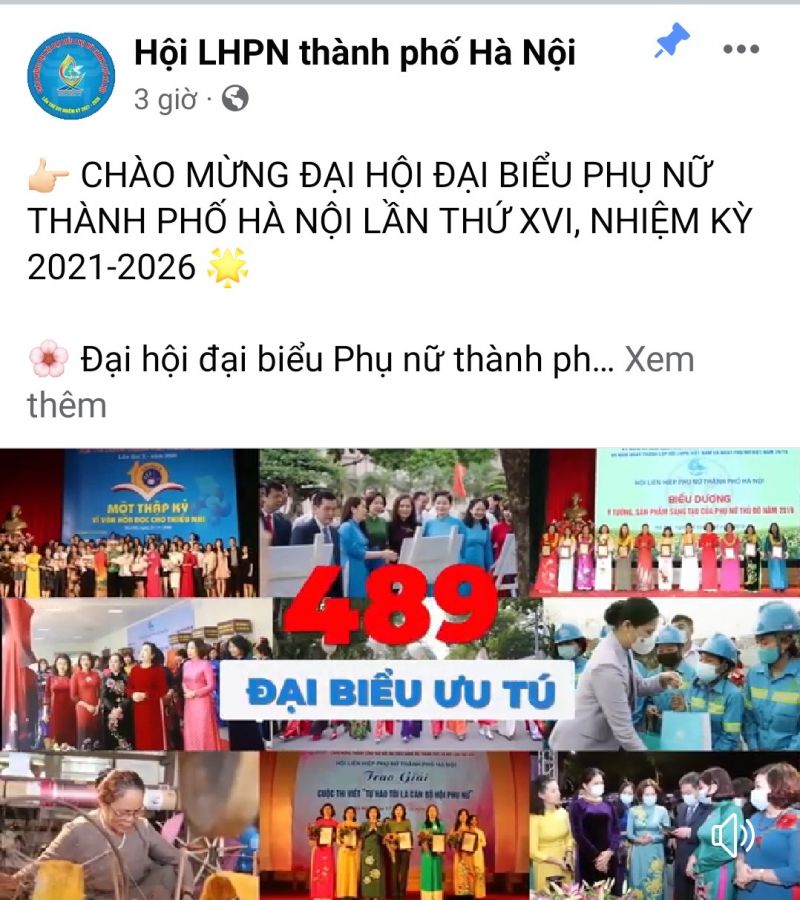 Đại hội có 489 đại biểu chính thức đại diện cho các tầng lớp phụ nữ Thủ đô tham dự
