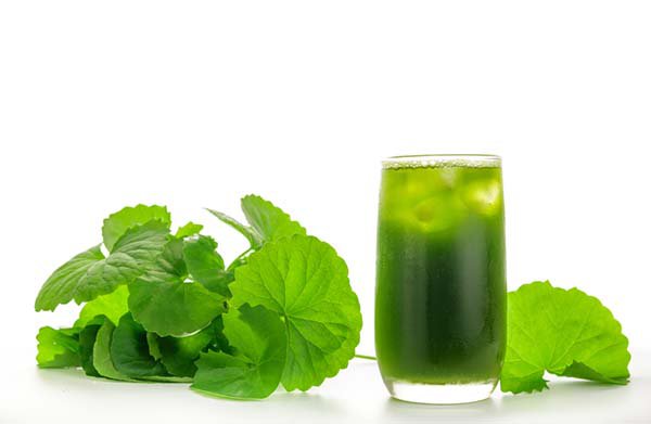 Các loại nước uống tốt cho người bị viêm đường tiết niệu - ảnh 1
