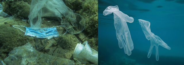 Đồ bảo hộ được tìm thấy nhiều hơn dưới đáy các đại dương từ khi dịch bùng phát.