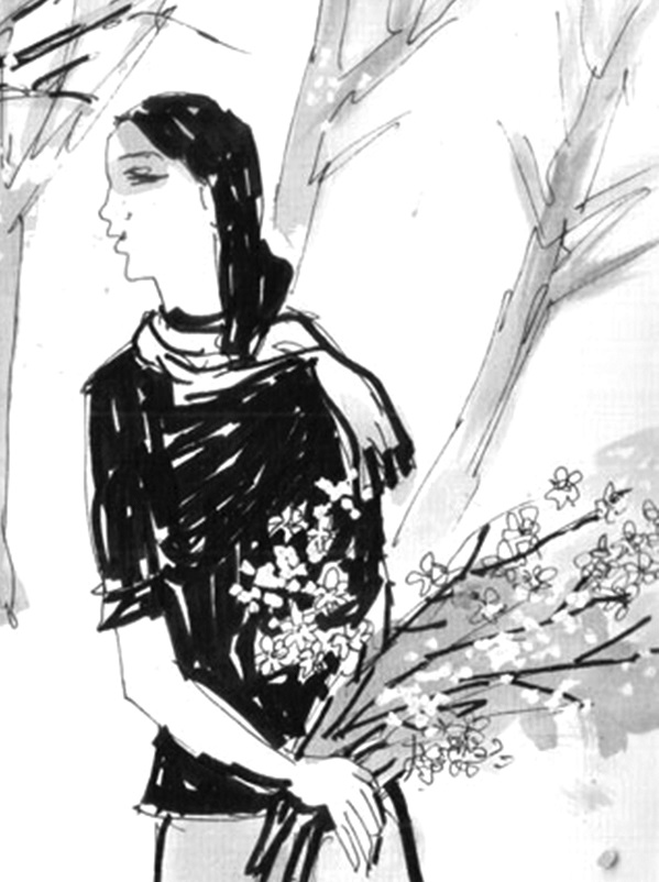 Minh họa sưu tầm