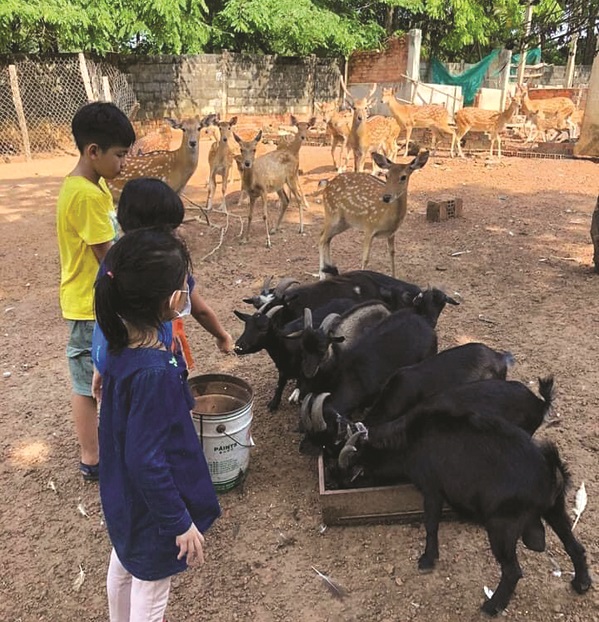 Hoạt động trải nghiệm tại nông trại giáo dục ở ngoại thành