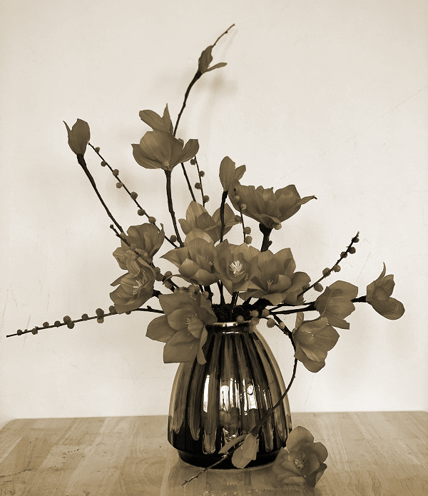 Các sản phẩm củaThảo mộc Út Em được người tiêu dùng biết đến nhiều qua facebook, zalo, youtube…