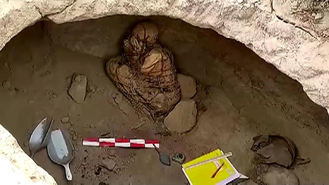 Xác ướp trong tư thế bào thai được buộc bằng dây thừng Xác ướp trong tư thế bào thai được buộc bằng dây thừng