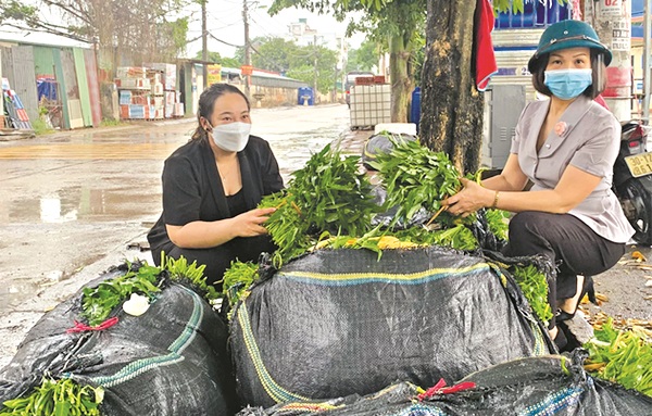 Hội LHPN quận Hà Đông hỗ trợ  tiêu thụ nông sản cho người dân bị ảnh hưởng bởi dịch