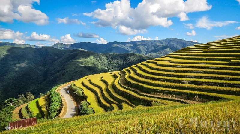 Những khoảnh khắc du lịch đáng nhớ của ban giám khảo cuộc thi “My Vinpearl – My Moment” - ảnh 3