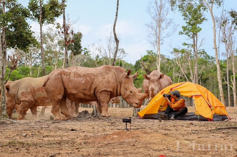 Những khoảnh khắc du lịch đáng nhớ của ban giám khảo cuộc thi “My Vinpearl – My Moment” - ảnh 4
