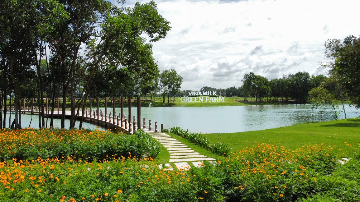 M&ocirc; h&igrave;nh c&aacute;c Trang trại sinh th&aacute;i Vinamilk Green Farm th&acirc;n thiện m&ocirc;i trường tại T&acirc;y Ninh, Quảng Ng&atilde;i v&agrave; Thanh H&oacute;a sẽ tiếp tục được nh&acirc;n rộng.