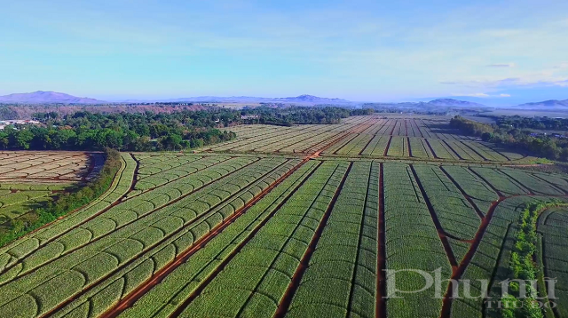 Công bố đối tác liên doanh tại Philippines, Vinamilk dự kiến đưa sản phẩm ra thị trường vào tháng 9/2021 - ảnh 3