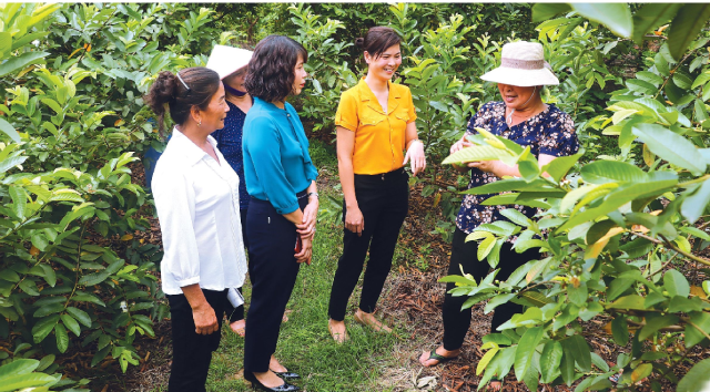 Hội LHPN Huyện thăm mô hình phát triển kinh tế của hội viên phụ nữxã Kim Lan, huyện Gia Lâm.