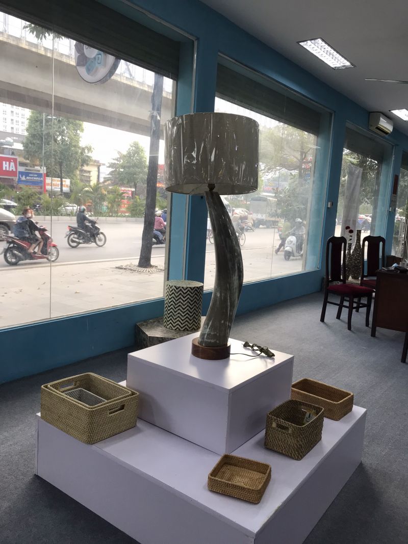 Hơn 110 tác phẩm mây tre đan-sừng mỹ nghệ tiêu biểu tại triển lãm chuyên đề ở 176 Quang Trung, Hà Đông - ảnh 6