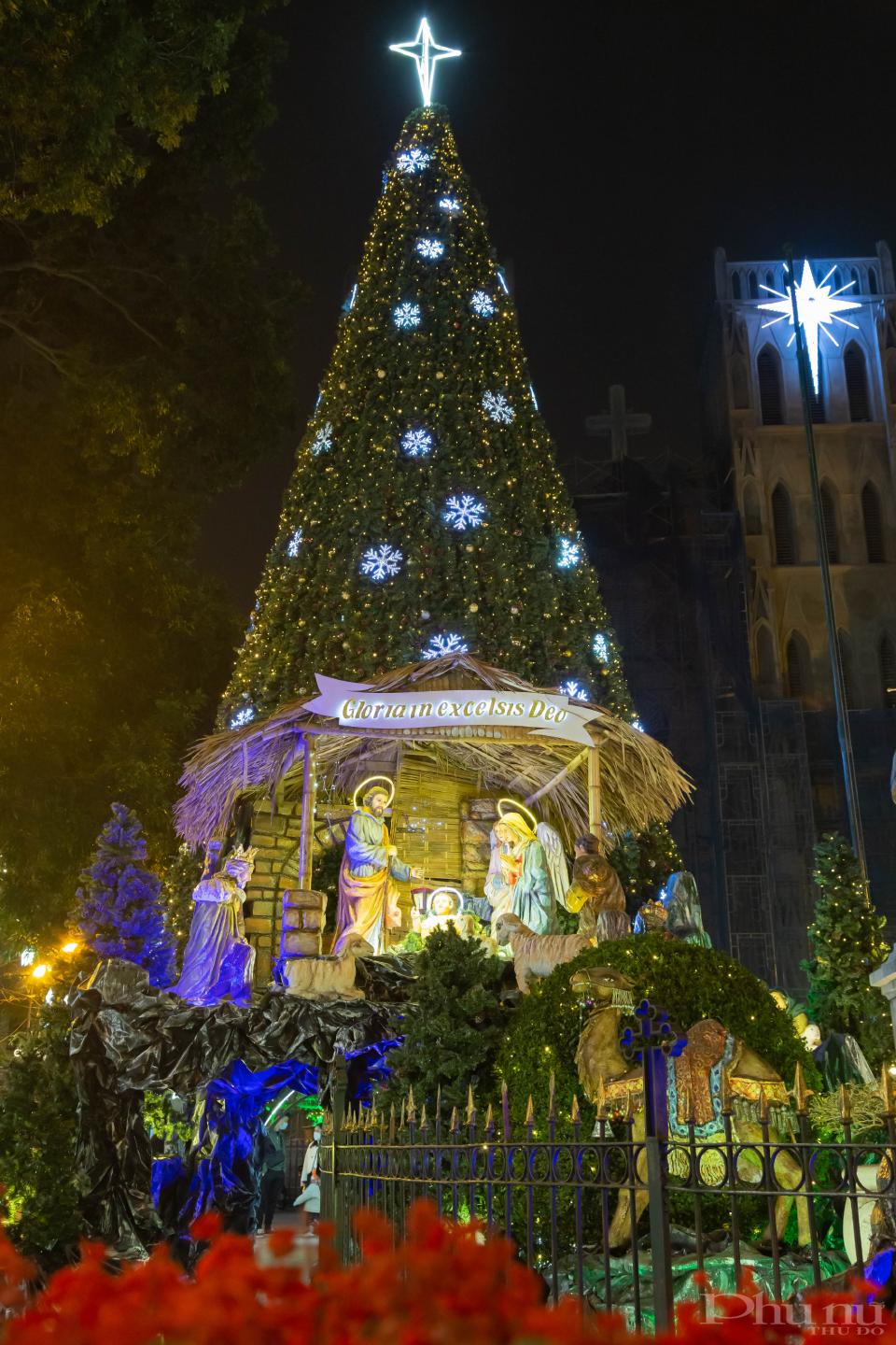 Năm nay tuy không tổ chức