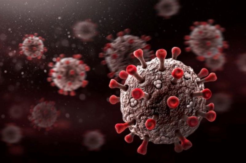 Ảnh minh họa. Nguồn: Int