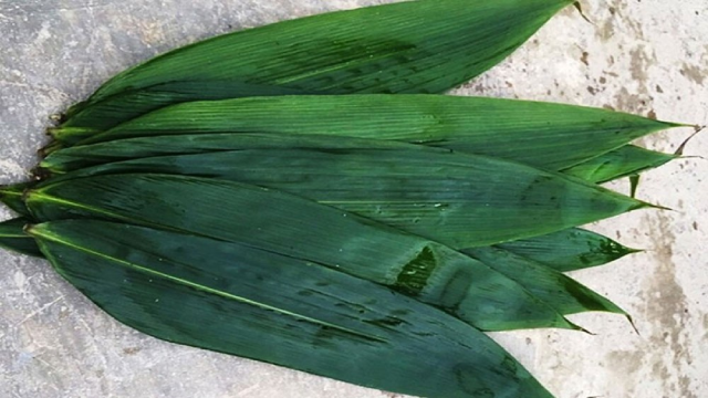 Lá tre ngày càng được rao bán khắp chợ mạng.