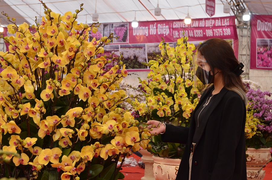 Khách hàng tới đây xem hoa đều tuân thủ nguyên tắc 5k về phòng tránh dịch