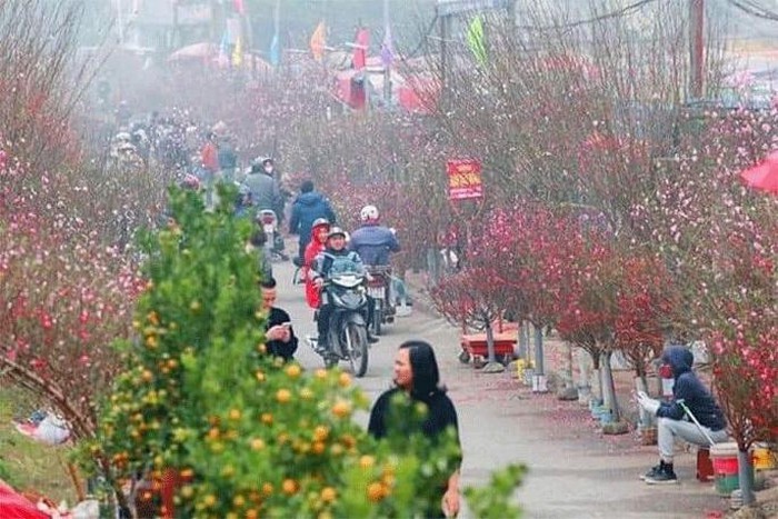 Hà Nội tổ chức 78 điểm chợ hoa Xuân phục vụ Tết Nhâm Dần 2022 - ảnh 1