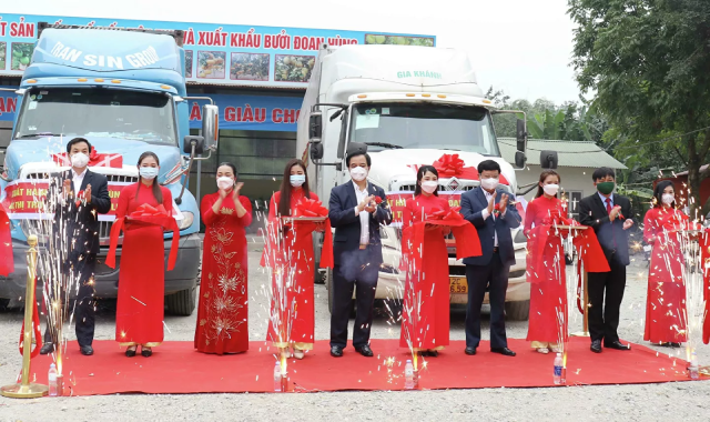 Cắt băng xuất kho 2 xe container với 36 nghìn quả bưởi Đoan Hùng. Cắt băng xuất kho 2 xe container với 36 nghìn quả bưởi Đoan Hùng.
