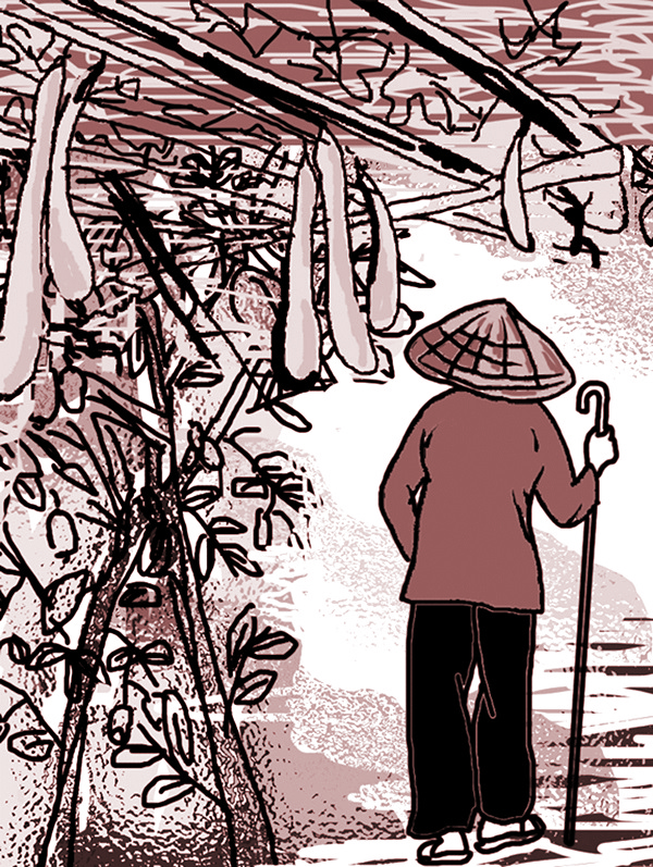 Minh họa sưu tầm