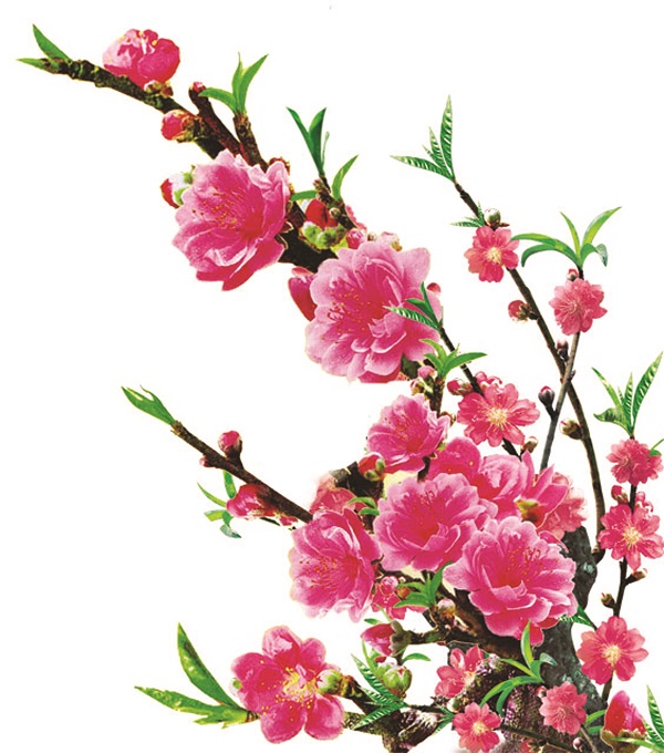 Đoàn viên sau đại dịch - ảnh 2