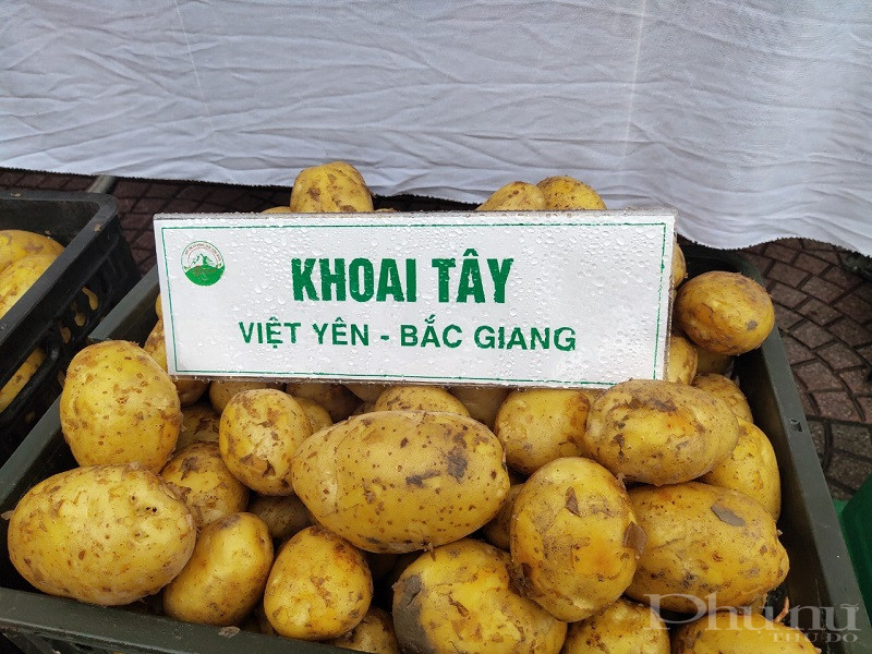 Ra mắt mô hình Hợp tác xã nông sản Long Biên do phụ nữ làm chủ - ảnh 12