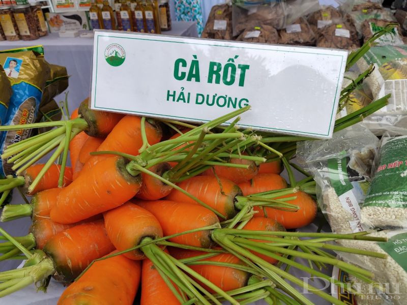 Ra mắt mô hình Hợp tác xã nông sản Long Biên do phụ nữ làm chủ - ảnh 13