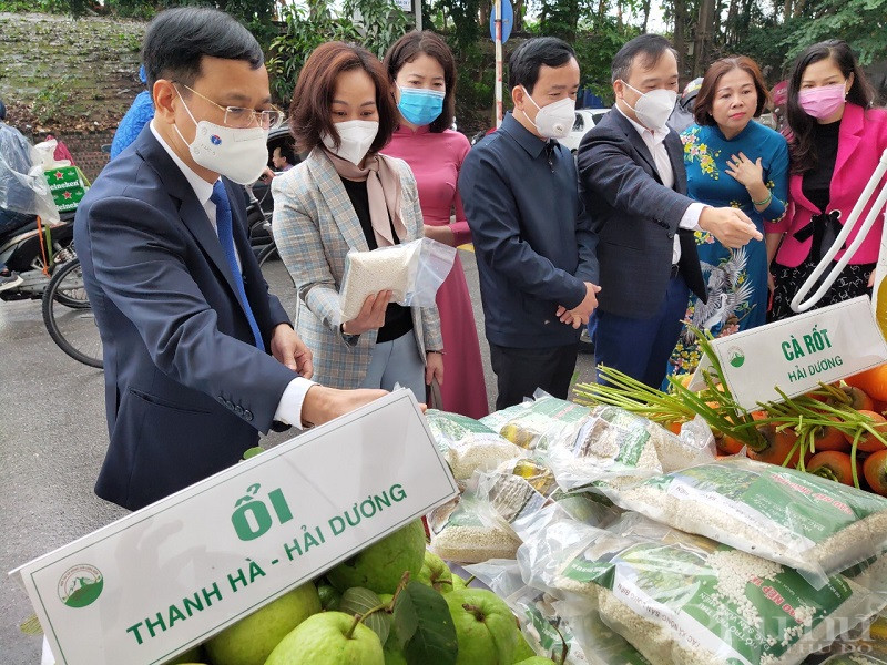 Ra mắt mô hình Hợp tác xã nông sản Long Biên do phụ nữ làm chủ - ảnh 7