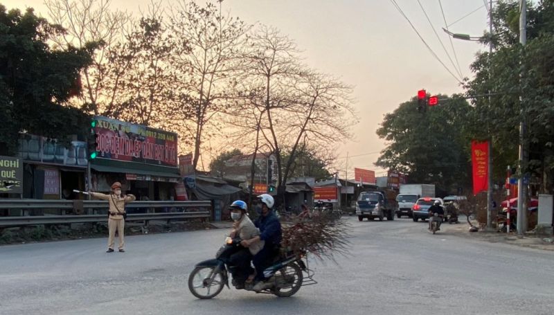 Người dân sắm hoa đào đón Tết